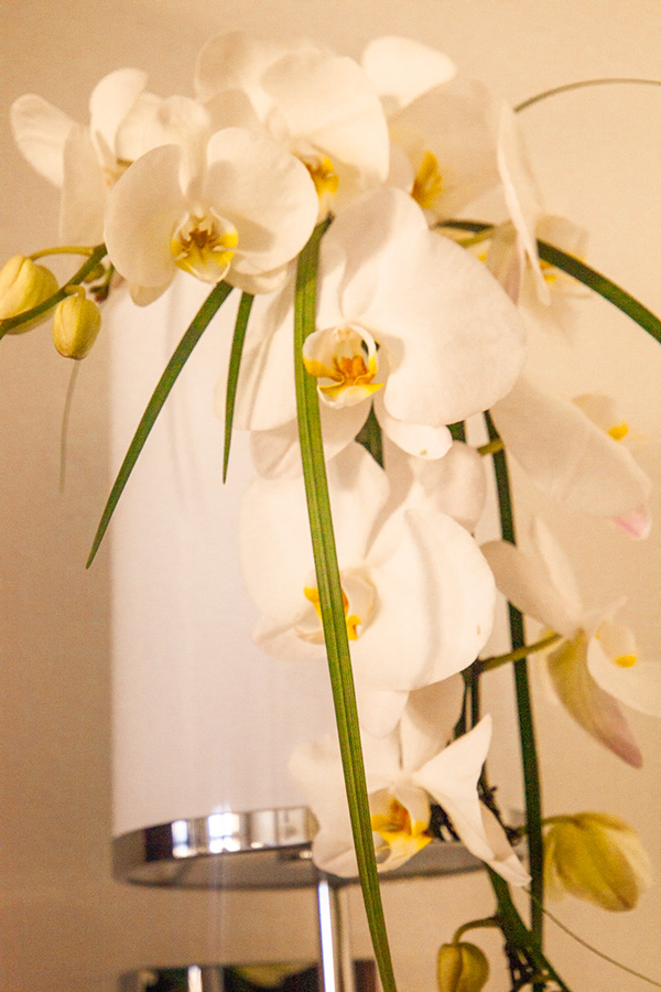 Weddings photography 7